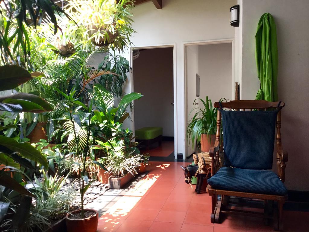 Saman Hostel Medellin Medellín Exterior foto